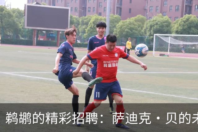 鹈鹕的精彩招聘：萨迪克·贝的未来和未解的迷雾